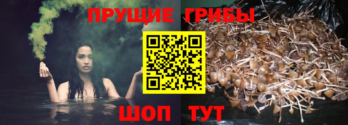 Орёл  Псилоцибиновые грибы мицелий  Вход с VPN 
